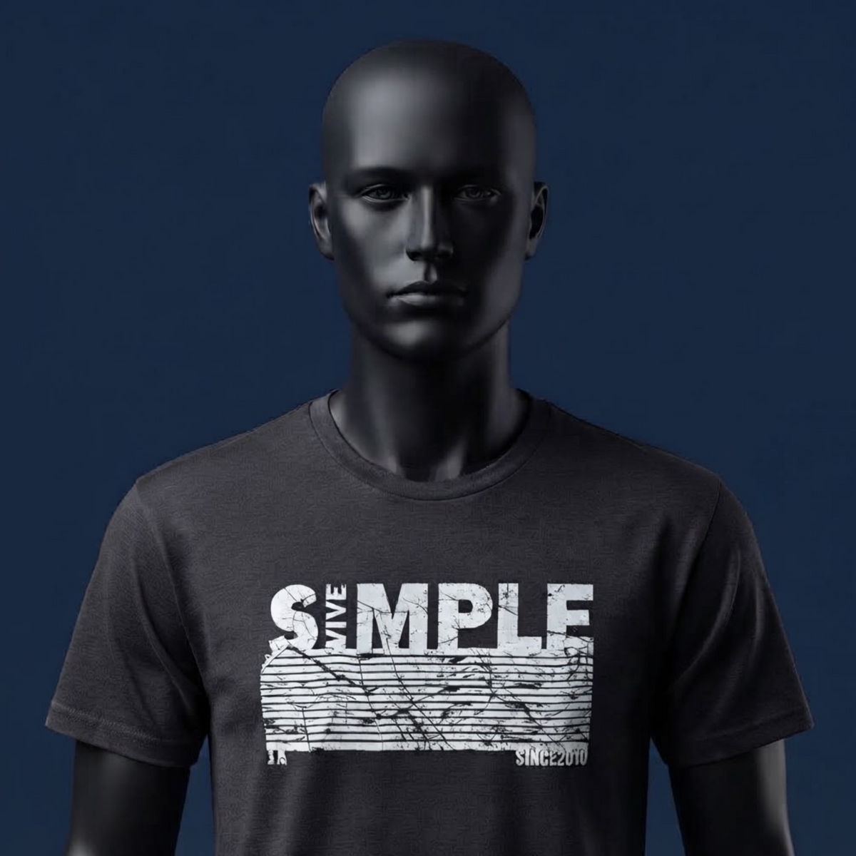 VIVE SIMPLE